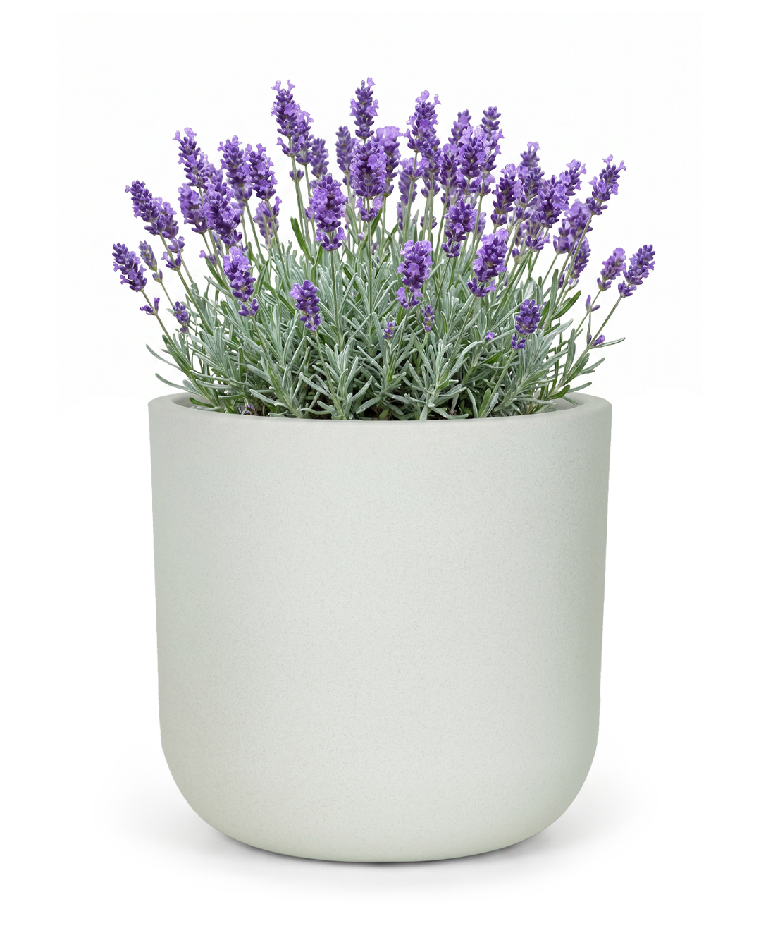 Vaso rotondo da giardino in plastica - Elegante White - grigio chiaro, opaco, per terrazzo
