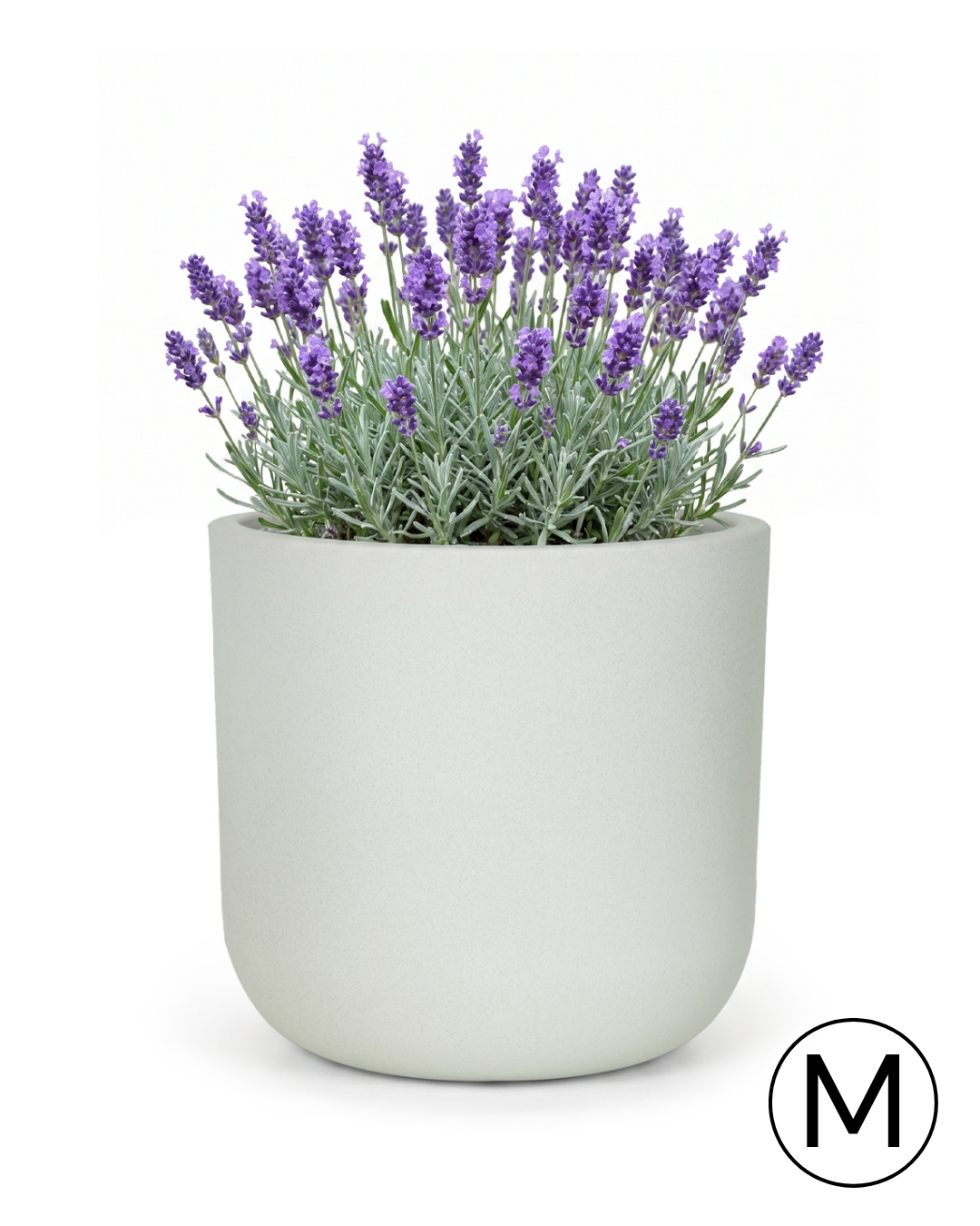Vaso rotondo da giardino / terrazzo 36 cm x 36 cm x 35 cm - Elegante M - vaso in plastica, grigio chiaro, opaco