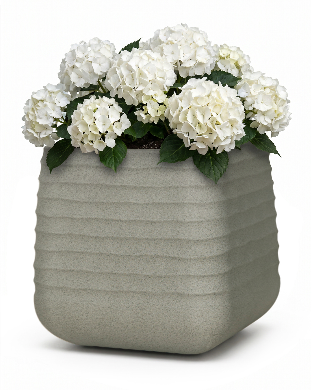 Vaso quadrato da giardino - Erba Grey - grigio, opaco, scanalato, per terrazzo