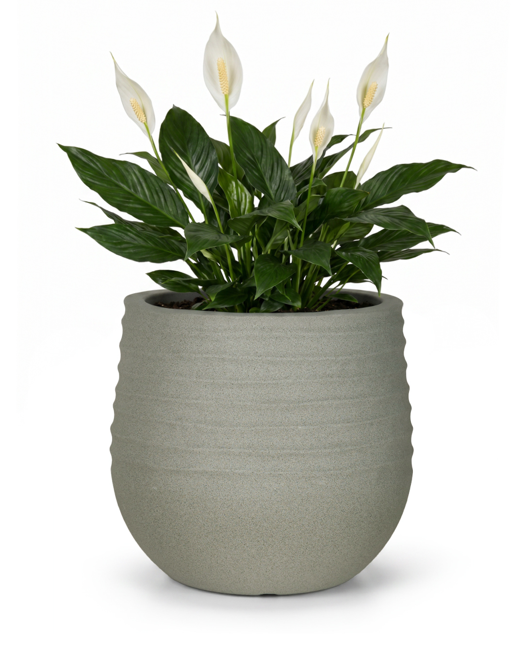 Vaso rotondo da giardino in plastica - Terra Grey - grigio, opaco, scanalato, per terrazzo