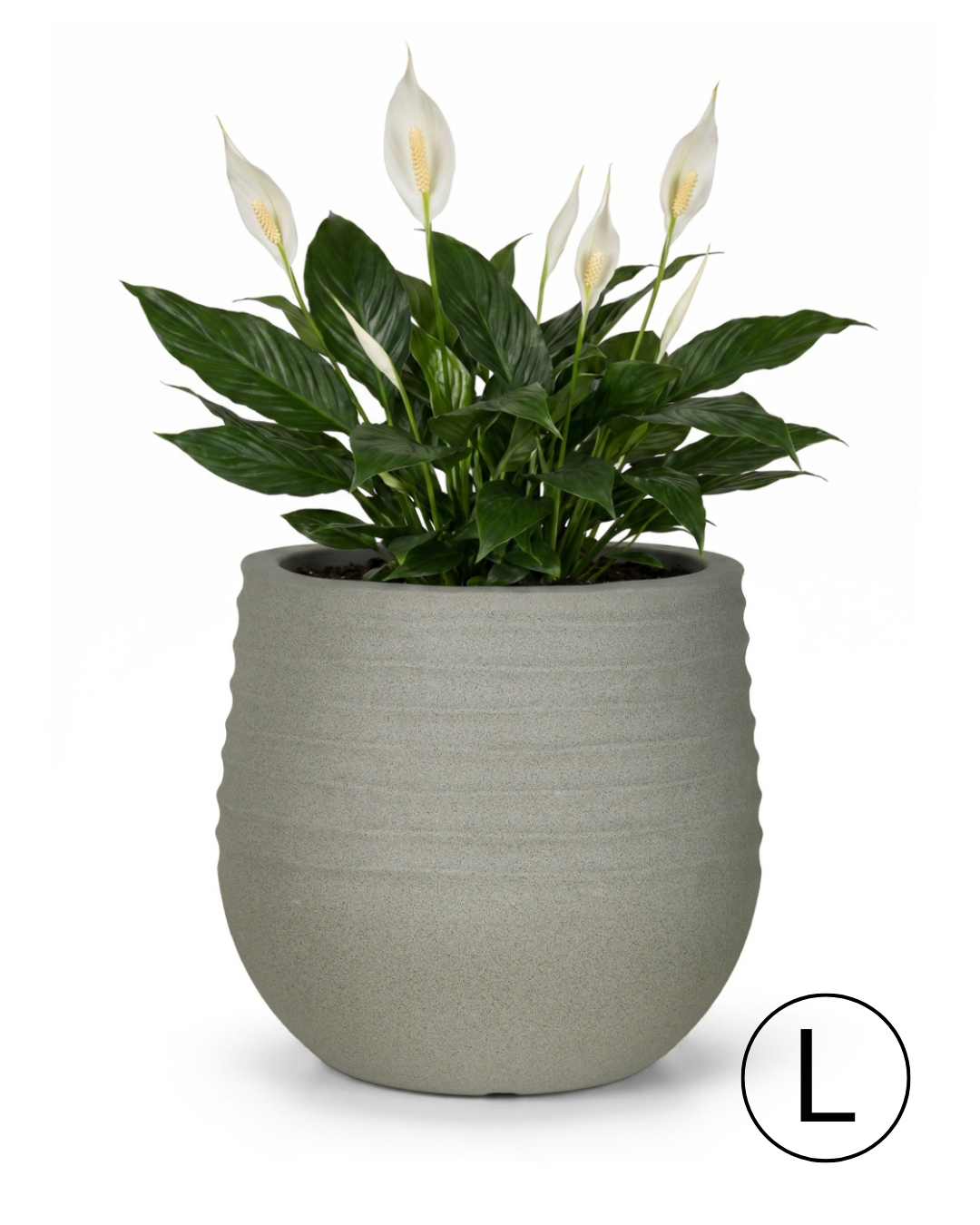 Vaso rotondo da giardino / terrazzo 54 cm x 54 cm x 49,5 cm - Terra L - vaso in plastica, grigio, opaco, scanalato