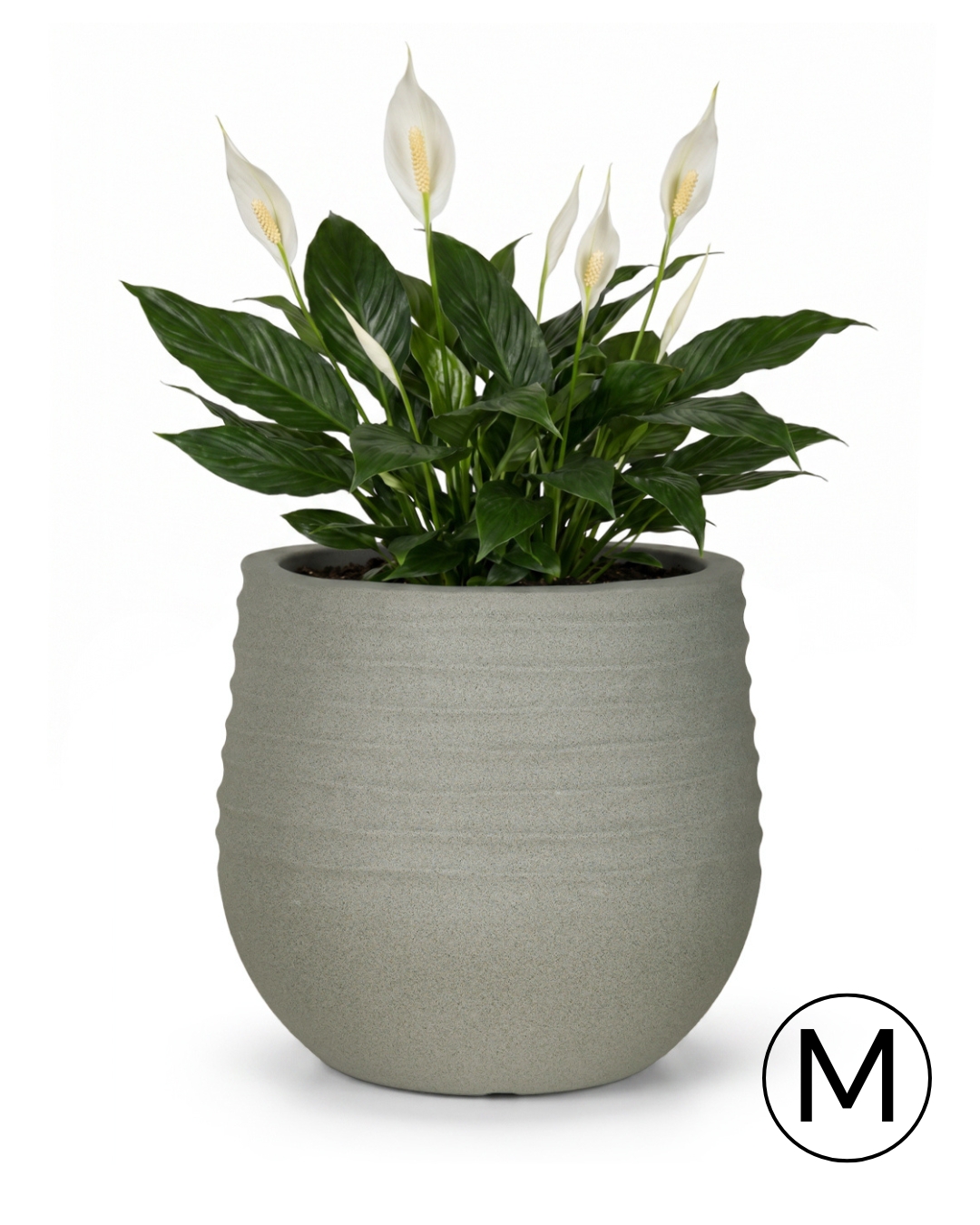 Vaso rotondo da giardino / terrazzo 40 cm x 40 cm x 37,5 cm - Terra M - vaso in plastica, grigio, opaco, scanalato