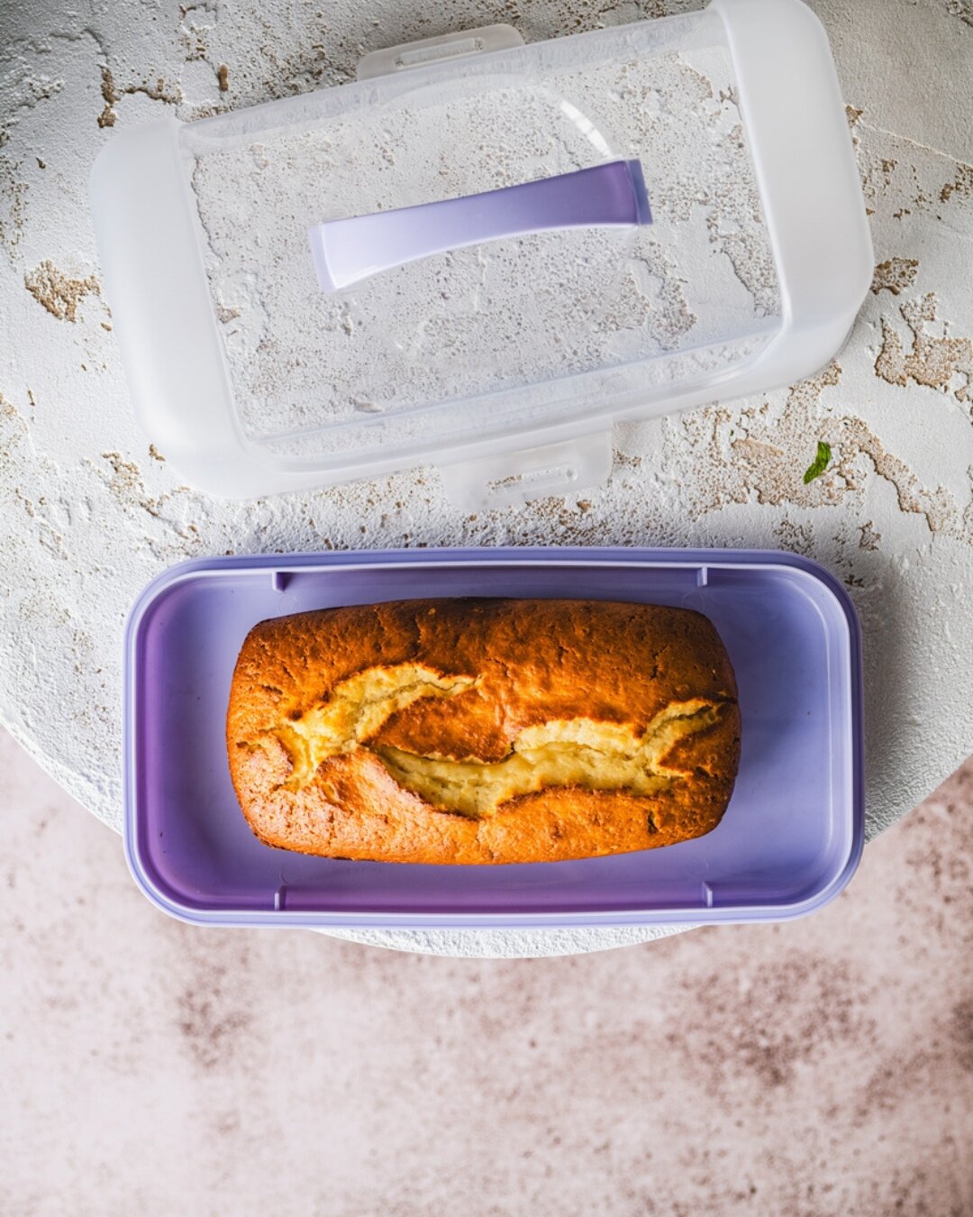 Contenitore rettangolare per torta con coperchio 34 x 19 x 3,5 cm – Forno Perme – viola, trasparente, plastica